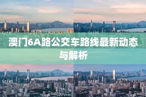 澳门6A路公交车路线最新动态与解析