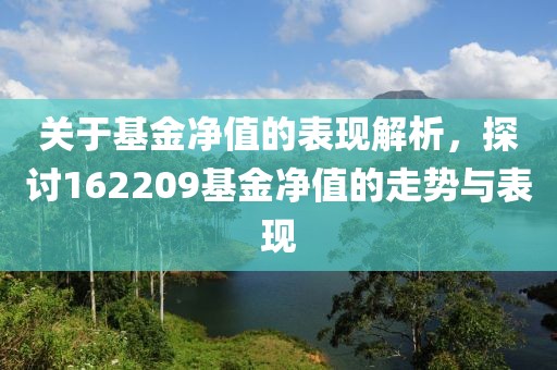 关于基金净值的表现解析，探讨162209基金净值的走势与表现