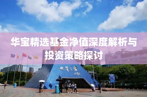 华宝精选基金净值深度解析与投资策略探讨