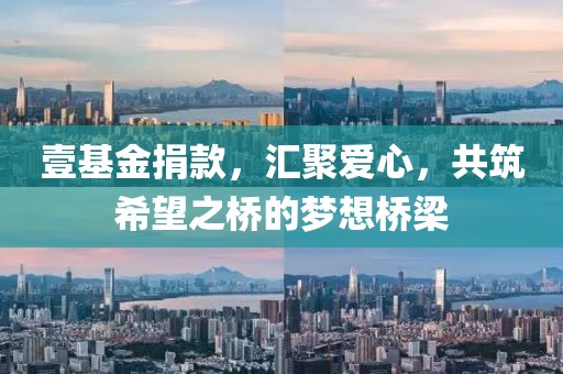 壹基金捐款，汇聚爱心，共筑希望之桥的梦想桥梁
