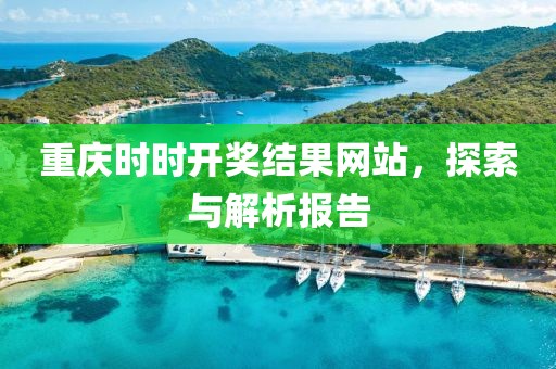 重庆时时开奖结果网站，探索与解析报告
