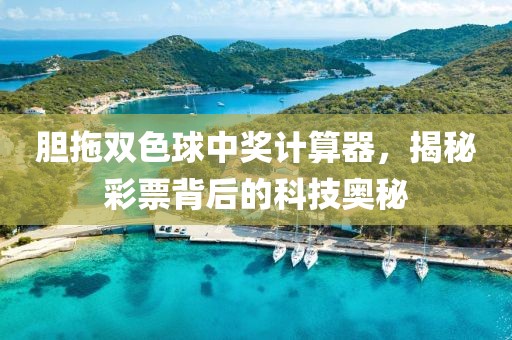 胆拖双色球中奖计算器，揭秘彩票背后的科技奥秘