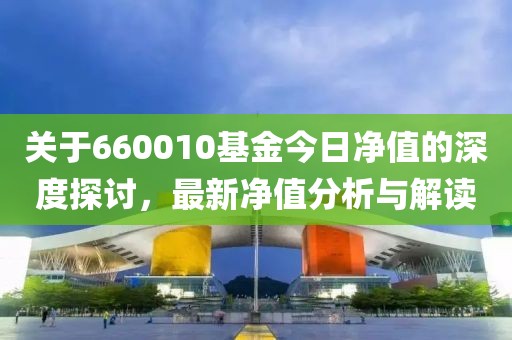 关于660010基金今日净值的深度探讨，最新净值分析与解读