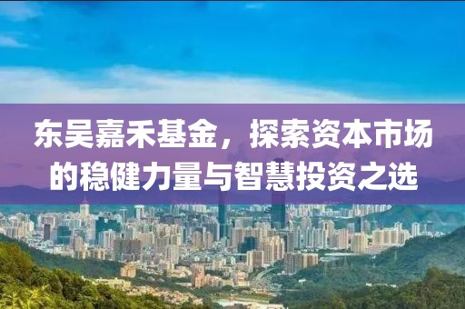 东吴嘉禾基金，探索资本市场的稳健力量与智慧投资之选