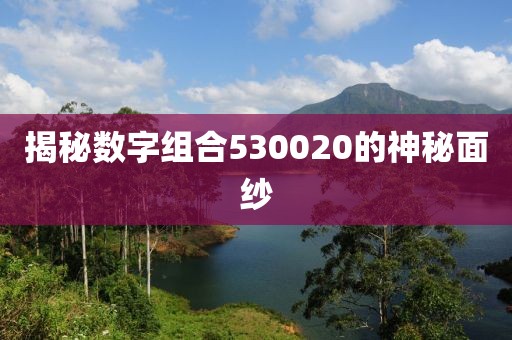 揭秘数字组合530020的神秘面纱