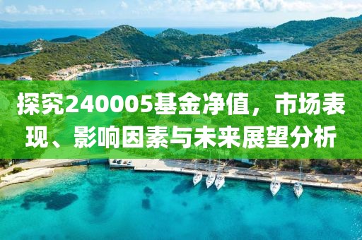 探究240005基金净值，市场表现、影响因素与未来展望分析