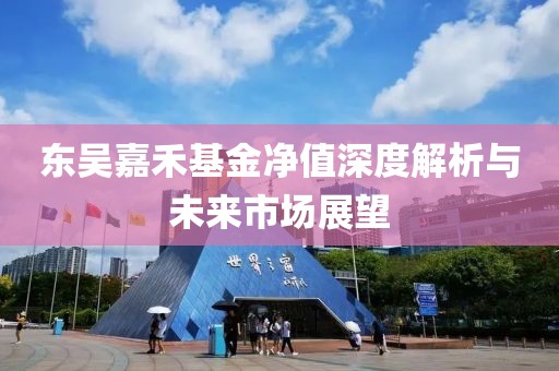 东吴嘉禾基金净值深度解析与未来市场展望