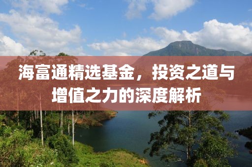 海富通精选基金，投资之道与增值之力的深度解析