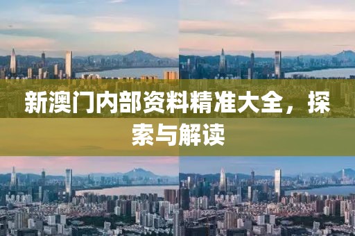 新澳门内部资料精准大全，探索与解读