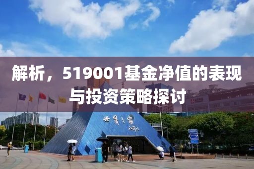 解析，519001基金净值的表现与投资策略探讨