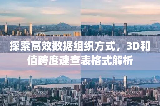 探索高效数据组织方式，3D和值跨度速查表格式解析