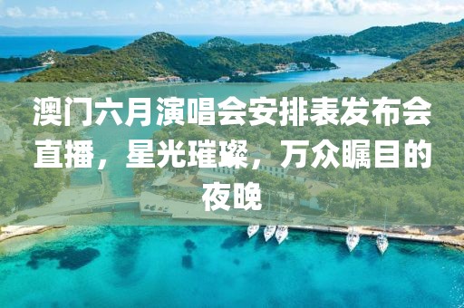 澳门六月演唱会安排表发布会直播，星光璀璨，万众瞩目的夜晚