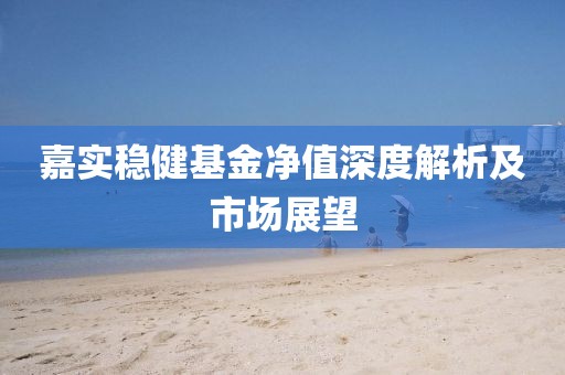 嘉实稳健基金净值深度解析及市场展望