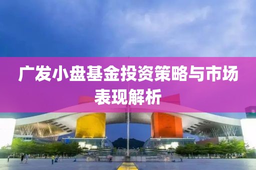 广发小盘基金投资策略与市场表现解析