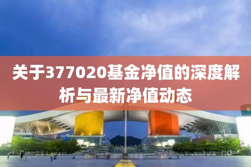 关于377020基金净值的深度解析与最新净值动态