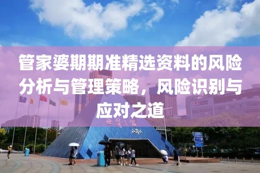管家婆期期准精选资料的风险分析与管理策略，风险识别与应对之道