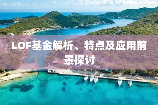 LOF基金解析、特点及应用前景探讨