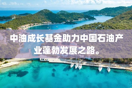 中油成长基金助力中国石油产业蓬勃发展之路。