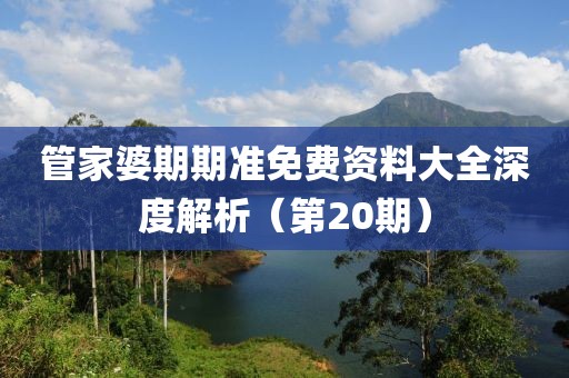 管家婆期期准免费资料大全深度解析（第20期）