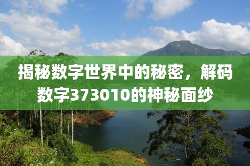 揭秘数字世界中的秘密，解码数字373010的神秘面纱