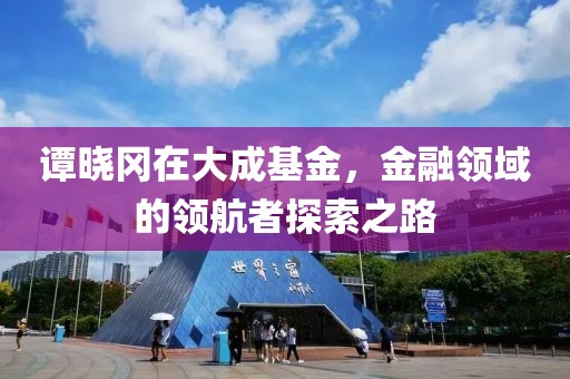 谭晓冈在大成基金，金融领域的领航者探索之路