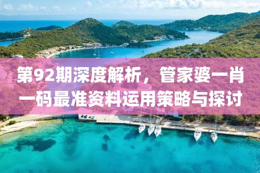 第92期深度解析，管家婆一肖一码最准资料运用策略与探讨