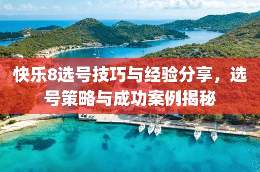 快乐8选号技巧与经验分享，选号策略与成功案例揭秘
