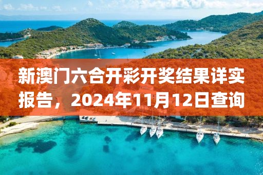 新澳门六合开彩开奖结果详实报告，2024年11月12日查询