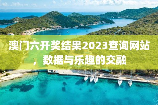 澳门六开奖结果2023查询网站，数据与乐趣的交融