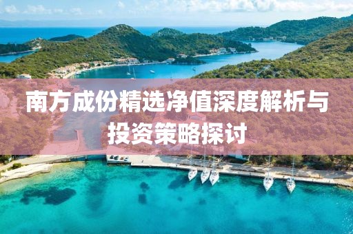 南方成份精选净值深度解析与投资策略探讨