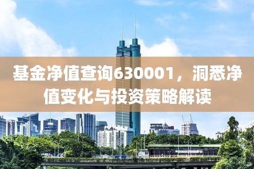 基金净值查询630001，洞悉净值变化与投资策略解读