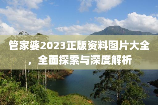 管家婆2023正版资料图片大全，全面探索与深度解析