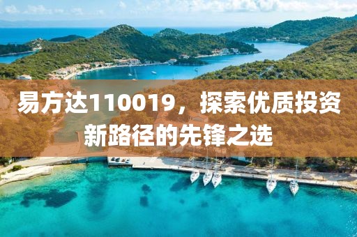 易方达110019，探索优质投资新路径的先锋之选