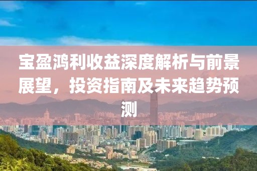 宝盈鸿利收益深度解析与前景展望，投资指南及未来趋势预测
