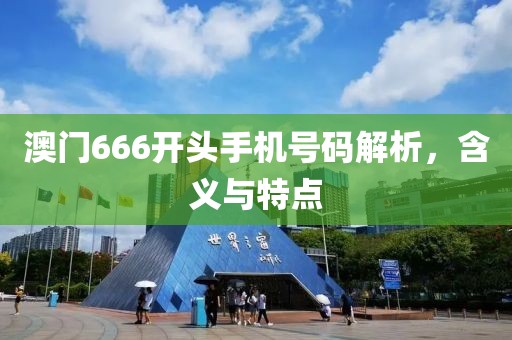 澳门666开头手机号码解析，含义与特点