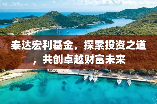 泰达宏利基金，探索投资之道，共创卓越财富未来