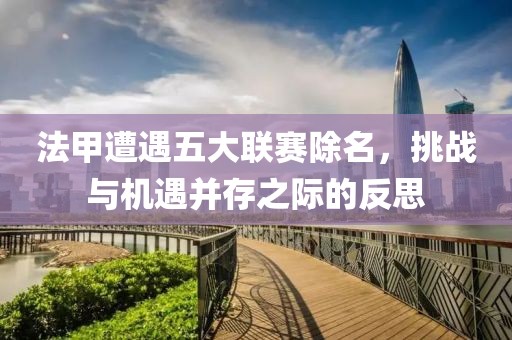 法甲遭遇五大联赛除名，挑战与机遇并存之际的反思