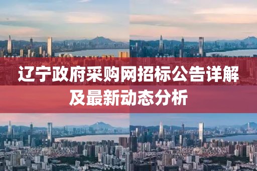 辽宁政府采购网招标公告详解及最新动态分析
