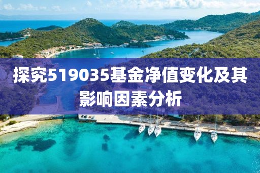 探究519035基金净值变化及其影响因素分析