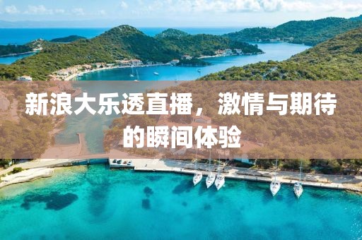 新浪大乐透直播，激情与期待的瞬间体验