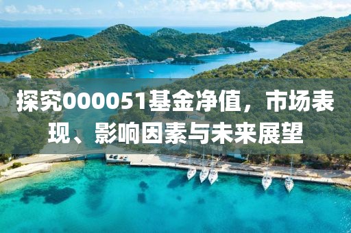 探究000051基金净值，市场表现、影响因素与未来展望