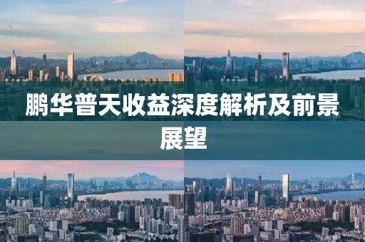 鹏华普天收益深度解析及前景展望