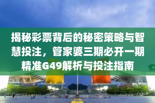 揭秘彩票背后的秘密策略与智慧投注，管家婆三期必开一期精准G49解析与投注指南