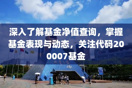 深入了解基金净值查询，掌握基金表现与动态，关注代码200007基金