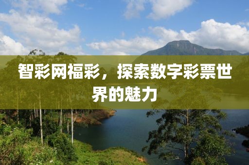 智彩网福彩，探索数字彩票世界的魅力