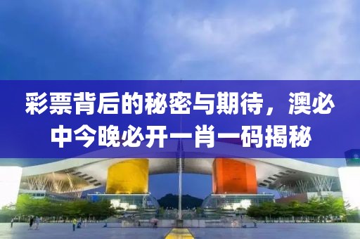 彩票背后的秘密与期待，澳必中今晚必开一肖一码揭秘