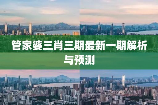 管家婆三肖三期最新一期解析与预测