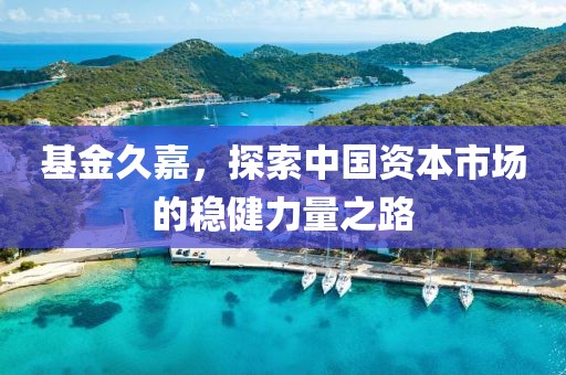 基金久嘉，探索中国资本市场的稳健力量之路