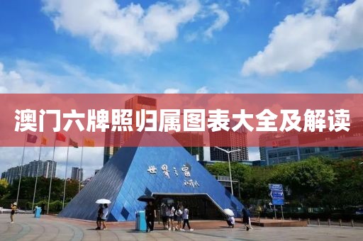 澳门六牌照归属图表大全及解读