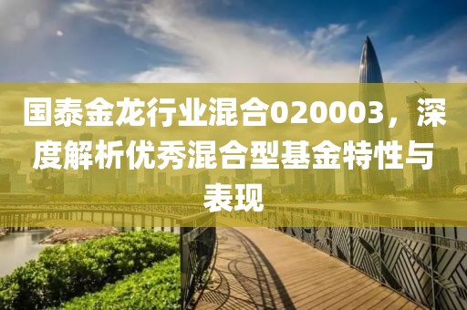 国泰金龙行业混合020003，深度解析优秀混合型基金特性与表现